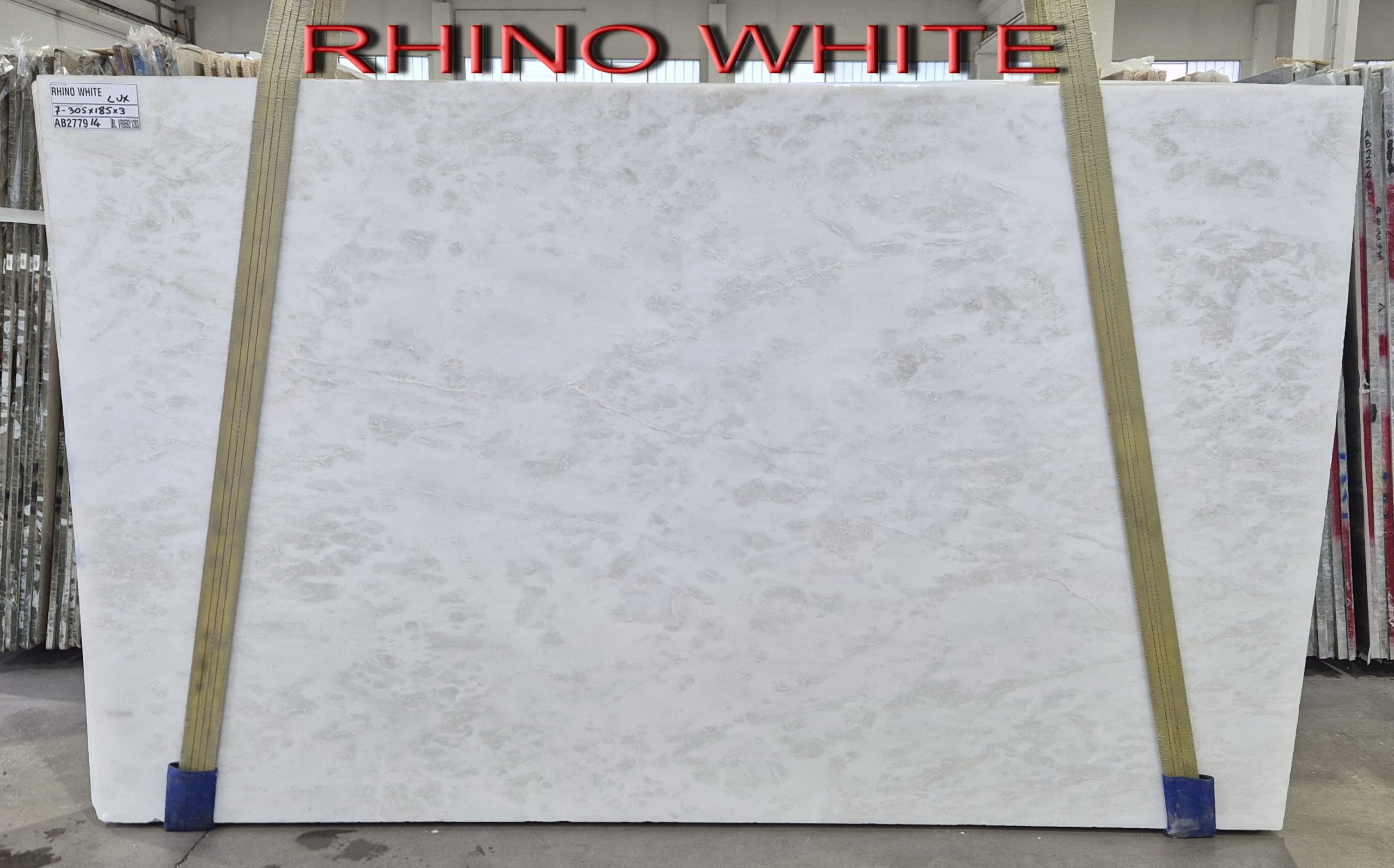 Necategorizat RHINO WHITE originar din 🇳🇦 Namibia RHINO WHITE Necategorizat Alb din 🇳🇦 Namibia