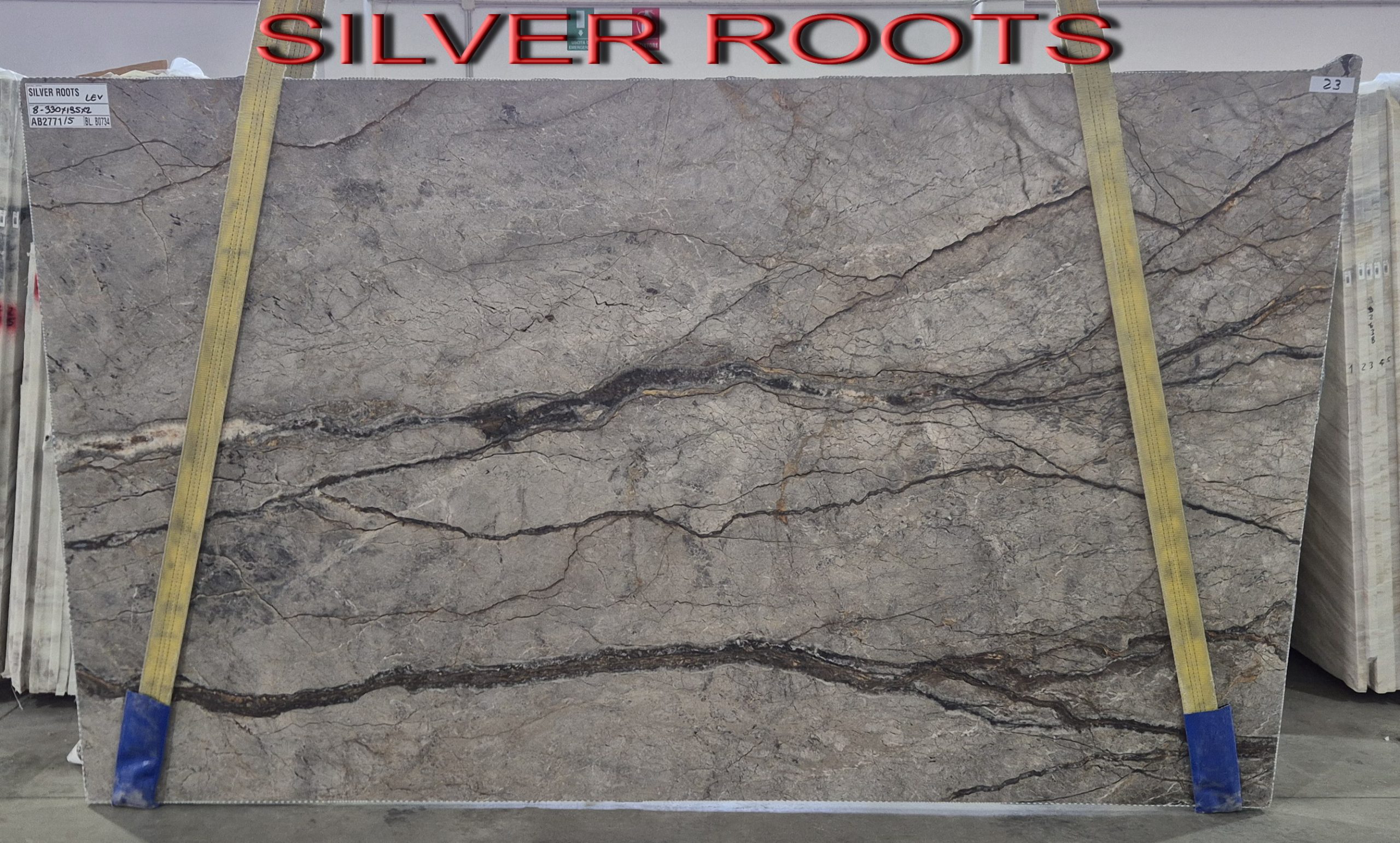 marmură SILVER ROOTS originar din 🇹🇷 Turcia SILVER ROOTS marmură Gri din 🇹🇷 Turcia